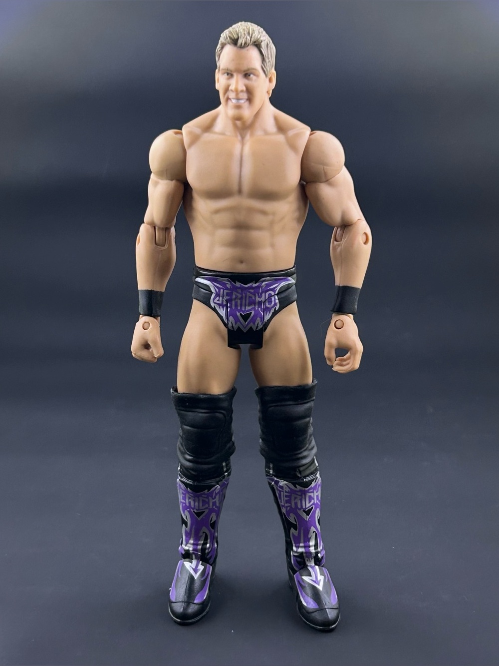 Mattel WWE Basic Chris Jericho Wrestling Action Figure 2010 Elimination Chamber